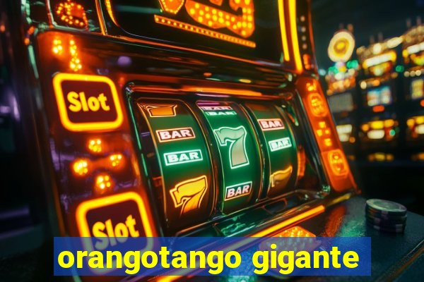 orangotango gigante